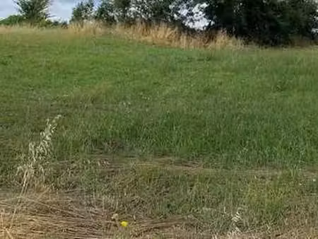 vente terrain à saint-michel-le-cloucq (85200) : à vendre / saint-michel-le-cloucq