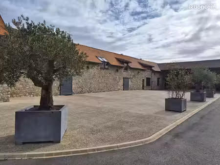 local commercial 54 m²