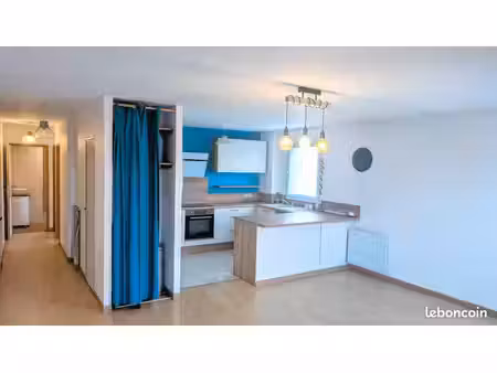 appartement t3 / f3 rénové 57m2 - europe / jardin des plantes