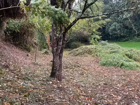 terrain pour potager