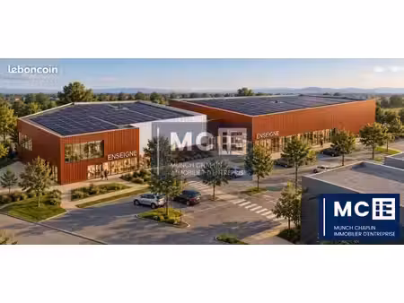 local commercial 2700 m² brumath