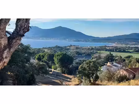 terrain grosseto-prugna (2a)