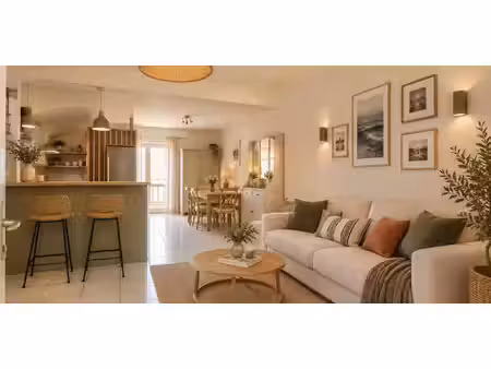 appartement avec terrasse biarritz (64)