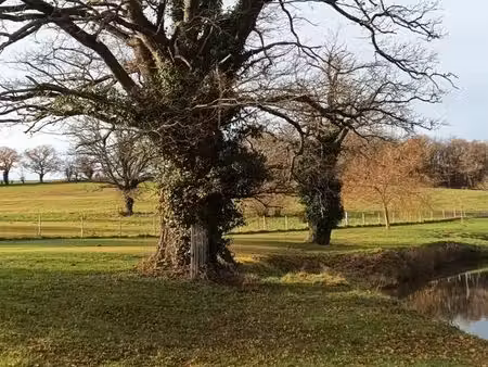 domaine a vendre a quinssaines