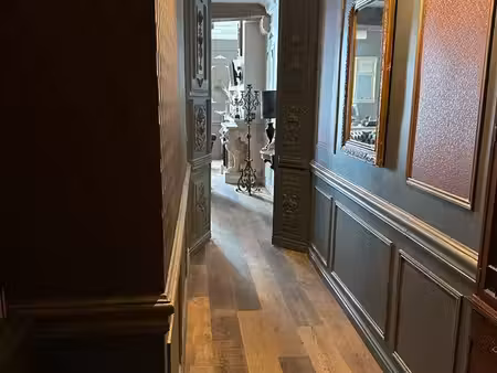 magnifique appartement refait à neuf (meublé)