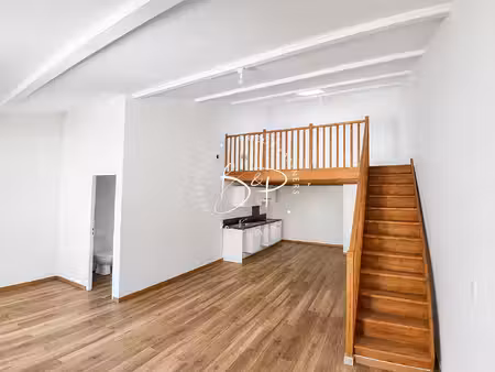 spacieux appartement en duplex à lorgues