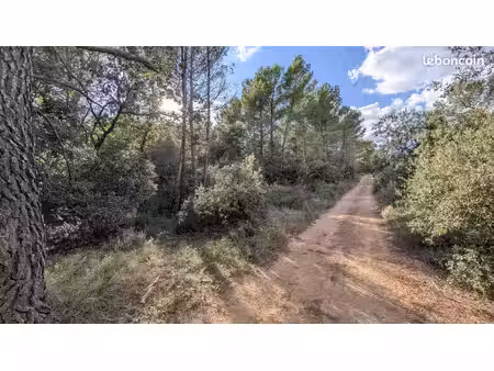 terrain 20618 m² salernes