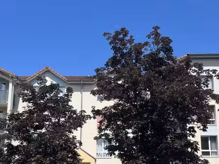 appartement 1 pièce 17 m²