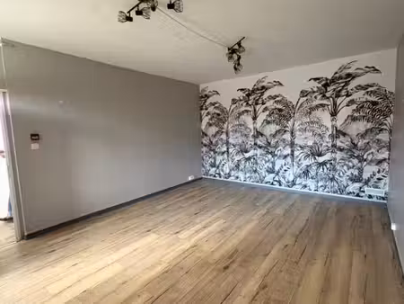 montpellier - cellier ou cave à louer quartier arceaux