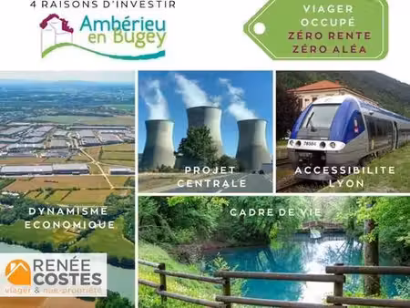 vente en nue propriété - f74-h70 ans - amberieu en bugey (01500)