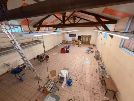 local professionnel à louer vaulx en velin 8 pièce(s) 560m2 3 900€/mois ht/hc