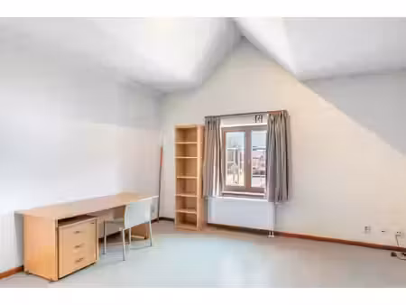 ruime  bemeubelde studentenstudio's