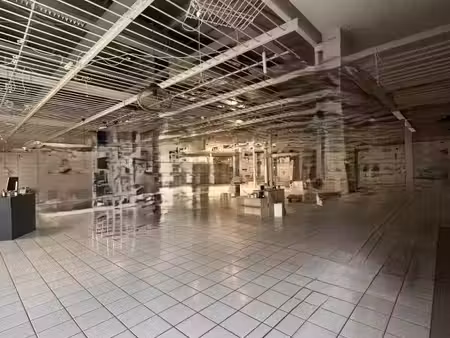 location commerce portet sur garonne 31120 1100m²