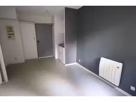 location appartement 1 pièce 20m² lille 59000