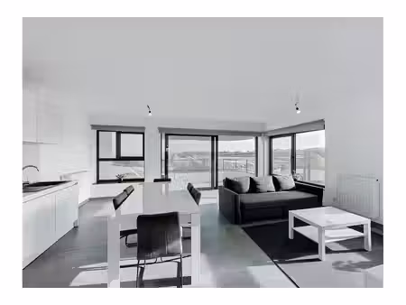 penthouse à vendre avec terrasse et 2 chambres   woluwe-saint-etienne (vbe85100)