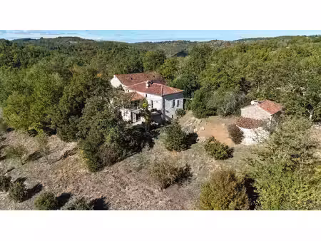 magnifique domaine avec gîtes  piscine et terrain autour de 17 ha dans le lot