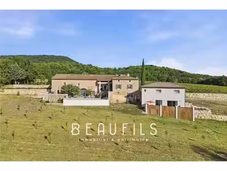 exclusivité. domaine de caractère avec vignoble et mas historique