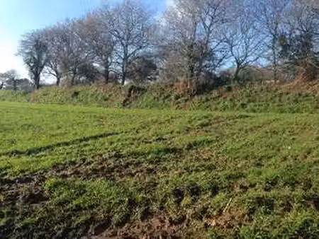vente terrain à guipavas (29490) : à vendre / guipavas