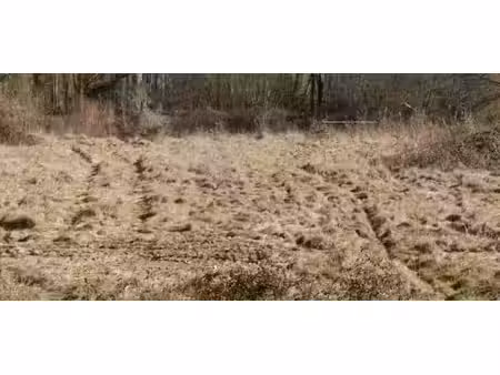 vente terrain 455 m² à carbonne (31390)  64 500 €