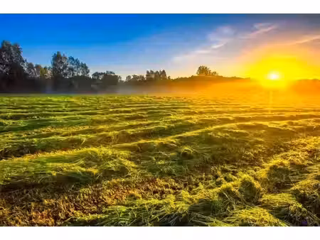 vente terrain 4000 m² à salbris (41300)  89 000 €
