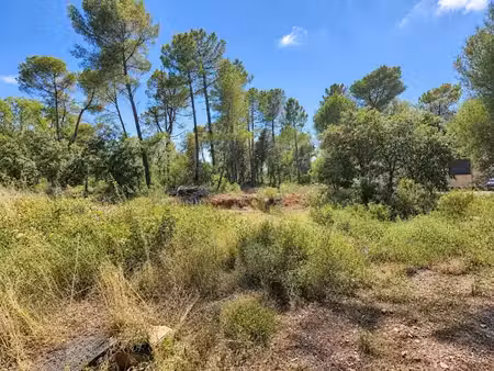 vente terrain 1000 m² à sillans-la-cascade (83690)  98 000 €