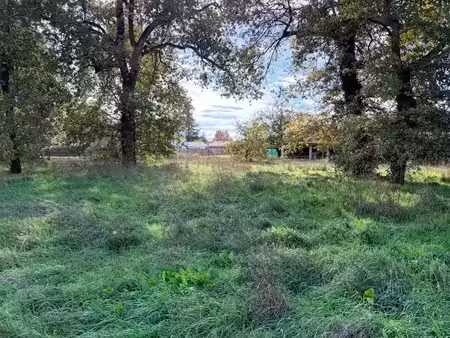 vente terrain 530 m² à saint-aubin-de-médoc (33160)  180 000 €