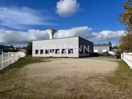 location entrepôt vannes 56000 175m²