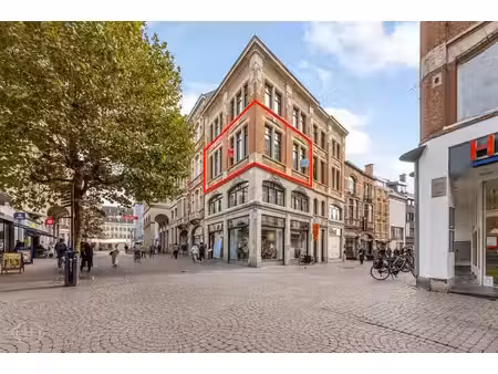 lichtrijk éénslaapkamerappartement hartje leuven