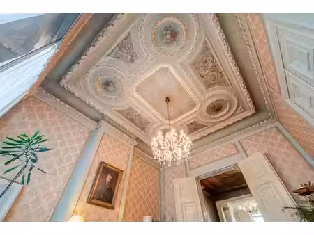 superbe maison de maître en face du jardin botanique !