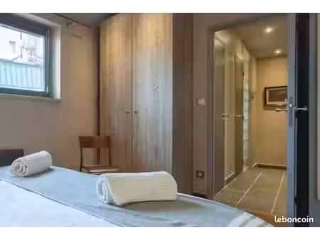 très bel appartement entièrement rénové au centre de lyon