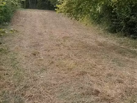 pré enherbé à gorze