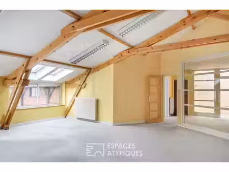 plateau style loft et combles à aménager