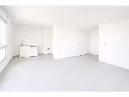 appartement à louer villeurbanne