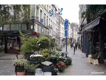 ❤️duplex 2 ch. vieux lille avec extérieur