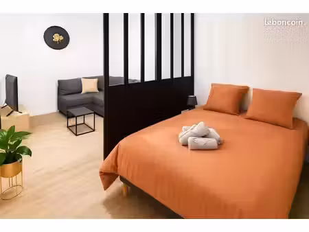 appartement meublé 30 m² avec verrière-clinique les fontaines