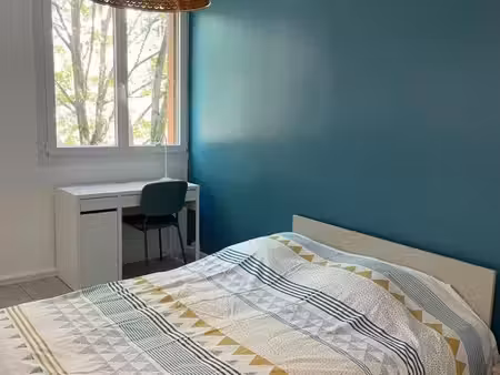 co-location à villeurbanne (69100)