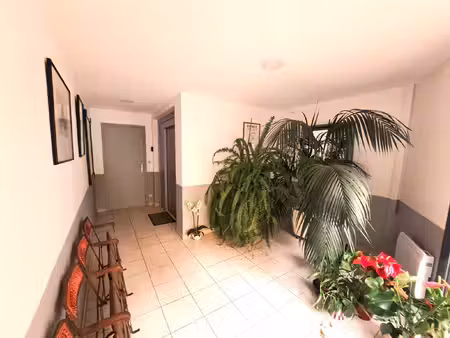 appartement à vendre céret