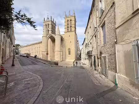 à vendre studio de 27 93 m2 au coeur de montpellier avec ca