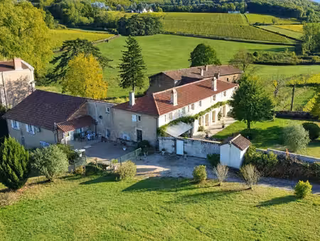 maison à vendre 10 pièces peronne (71)
