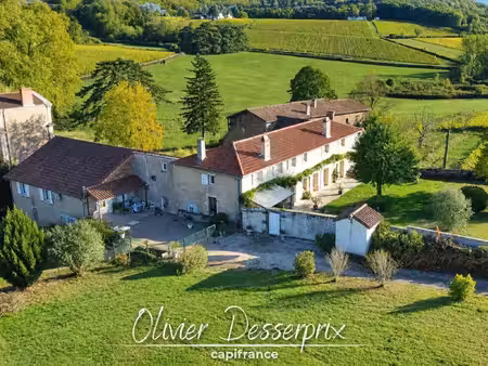 maison à vendre peronne 10 pièce(s) 338m2 827 000€