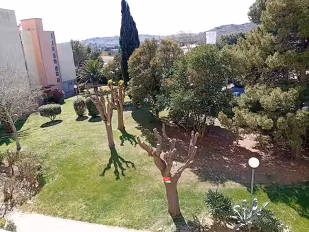 secteur avenue de toulouse - spacieux appartement- loggia -